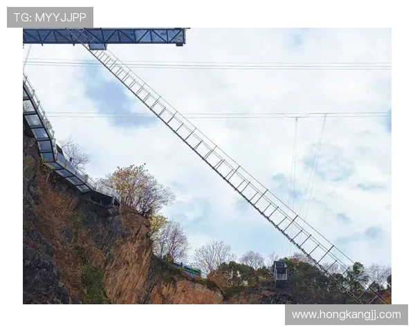 广州极限运动队比赛经验分析与数据洞察探讨